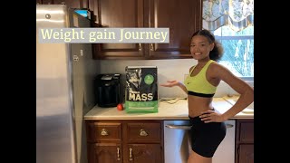 Weight gain journey Serious Mass [upl. by Aim]