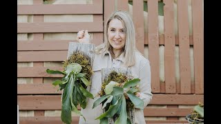 How To Mount A Staghorn Fern [upl. by Siravart]