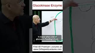 Glucokinase Enzyme shorts shortvideo drnajeeb [upl. by Sandy]