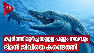 കൂർത്ത് മൂർച്ചയുളള പല്ലും നഖവും ഭീമൻ ജീവിയെ കണ്ടെത്തി  Giant WhaleLike Creature Ichthyosaurs [upl. by Nauquf535]