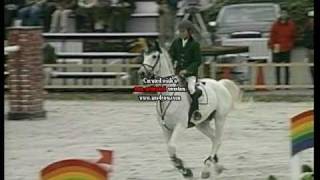 2004年 全日本大障害 決勝 2走行目 [upl. by Susanna]