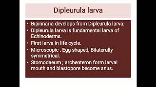 Development of bipinnaria larva [upl. by Adnauqal]