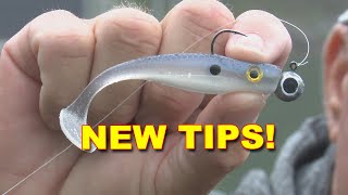 Master Fall Bass Fishing with Soft Swimbaits Expert Tips  Bass Fishing [upl. by Elad]