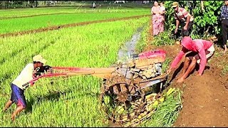 Traktor Sawah kesulitan naik keatas [upl. by Alecia818]