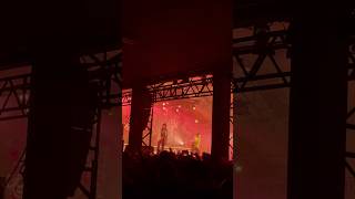 Palaye Royale  No Love in LA Munich 16112024 Tonhalle [upl. by Durno]