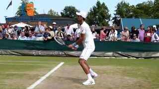 Novak Djokovic 2014  Slow Motion Forehand  Backhand [upl. by Ahseenyt261]