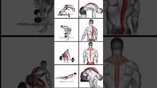 Erector spinae workoutgym video boodybuilding fitness explorepage [upl. by Ainolopa]