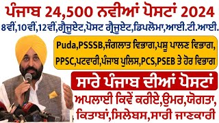 ਪੰਜਾਬ ਵਿੱਚ 24500 ਅਸਾਮੀਆਂ ਆਈਆਂ  Punjab Govt Jobs June 2024 Punjab Govt Jobs July 2024Meet Academy [upl. by Llebanna]