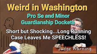 Weird Washington  Pro Se  Guardianship  Judge Warning [upl. by Baptist]