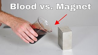 Giant Neodymium Monster Magnet vs Blood Its Attracted [upl. by Riana]