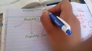 PHOSPHOLIPID SYNTHESIS made easy part 4phosphotidyl serine synthesis [upl. by Acinnad]