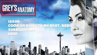 Greys Anatomy Soundtrack  quotSurround Mequot by Leon 14x06 [upl. by Ainattirb]