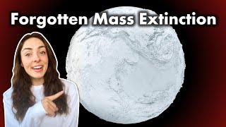 Did Snowball Earth Cause an Explosion or Extinction of Life GEO GIRL [upl. by Ataner670]