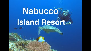 Nabucco island dive resort  diving snorkeling amp relaxation on Maratua islands Kalimantan [upl. by Mignon44]