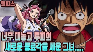 원피스너무 대놓고 루피의 10번째 동료라서 할말은 없지만 떠들어보겠습니다 [upl. by Lilly]