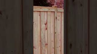 Treated pine vertical board on board wood privacy with cap and copper post caps [upl. by Ennoirb]