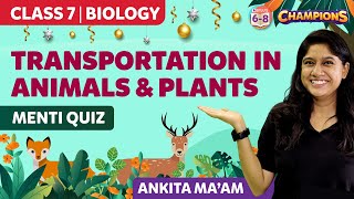 Transportation in Plants and Animals Class 7 Science Biology  MENTI Quiz  BYJUS  Class 7 [upl. by Sucul665]