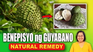 BENEPISYO ng GUYABANO antioxidant 🌿🤓 Natural Remedy  Tagalog Health Tips  Nurse Dianne [upl. by Riana]