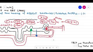 Glomerular filtration [upl. by Benis]