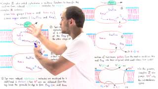 Complex IV of Electron Transport Chain [upl. by Husch]