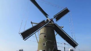 Molen de Windvang op 12 maart [upl. by Hogle]