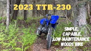 ‘23 Yamaha TTR230 walk around and review [upl. by Esirahs]