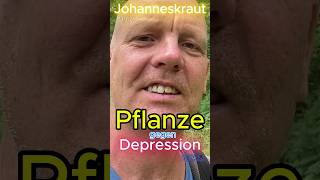 Pflanze gegen Depression Part2 pflanzenheilkunde depression heilpraktiker [upl. by Nava]