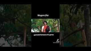 Mogoroo jifaar Ethiopian new oromo music 2024 [upl. by Eadrahs]