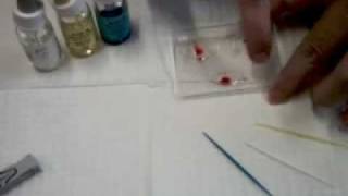 Blood Typing [upl. by Siari]