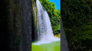 Beautiful Waterfall View shorts naturebeautiful waterfall [upl. by Laraine]