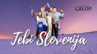 Ansambel Galop  Tebi Slovenija live cover [upl. by Tichonn]