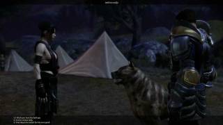 Dragon Age Origins Morrigan versus Dog [upl. by Lewse]