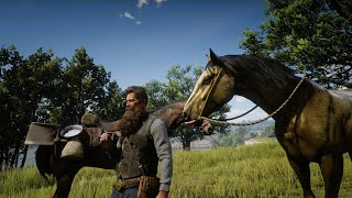 RDR 2  GOLD TURKOMAN HORSE CAUGHT  ARTHUR MORGAN BEST CATCHER [upl. by Natanoj905]