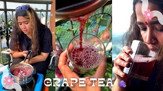 Grape Wine 🍷 ❌❌ Grape Tea 🍇 ✅ ✅ [upl. by Mylor]