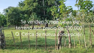 se venden 3 manzanas de terreno aun precio de 700000 Q por las 3 manzanas [upl. by Eladnwahs807]