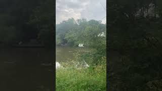 720p vs 4K [upl. by Yelda]