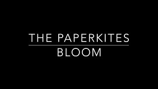 The Paperkites  Bloom Instrumental Cover [upl. by Axe]