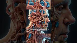 Unlocking the Power of Smell Olfactory Receptors Revealed facts shorts science [upl. by Nnasus]