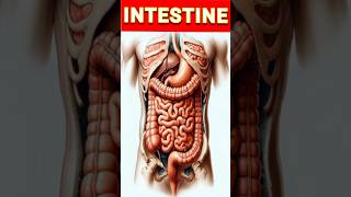 Intestinal obstruction 😊Crohns diseaseshortsvideobio [upl. by Eirruc]