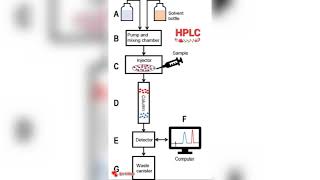 HPLC INSTRUMENTATION IN THE SEPARATE VERSION [upl. by Einalam]