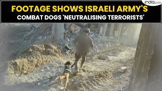 Shocking footage shows Israeli armys combat dogs neutralising Hamas terrorists in Gaza [upl. by Dur]