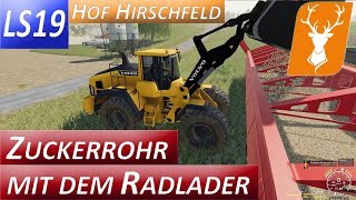 LS19 FORST 28  Die PAPPEL ERNTE mit dem Krone Häcksler beginnt  Landwirtschafts Simulator 19 [upl. by Clay]