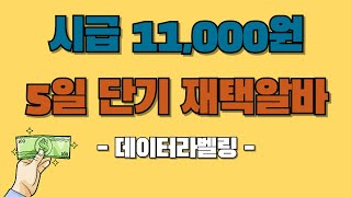 시급 11000원 5일 짜리 단기 데이터 라벨링 재택알바 [upl. by Aohk]