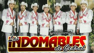 Los Indomables de Cedral Los Grandes Exitos [upl. by Macknair]