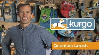 How to Use the Kurgo Quantum Dog Leash [upl. by Llacam]