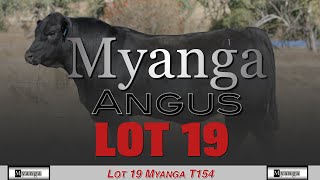 Lot 19 Myanga T154 [upl. by Allina]