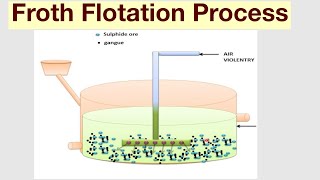 Froth Flotation Process [upl. by Baxie499]