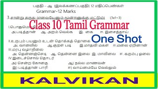 Class 10 Tamil Grammar One Shot  Sample Paper  Kalvikan [upl. by Oiromed604]