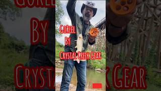 Creek Chub Fishing with a GoReel Handline GoReel crystalcreekgear [upl. by Briney]