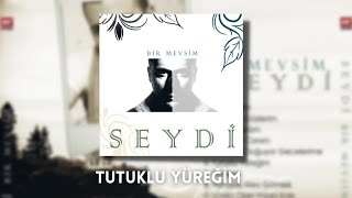 Seydi  Tutuklu Yüreğim  2012 [upl. by Opiuuk181]